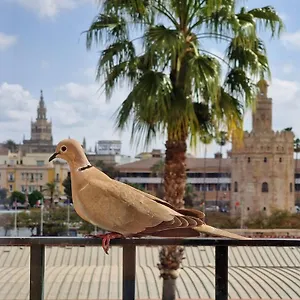  Hébergement de vacances Betis Del Oro